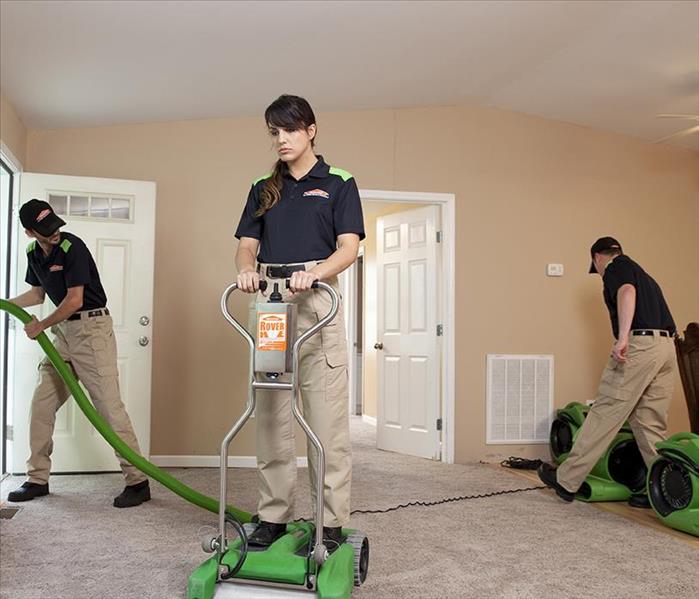 SERVPRO employees cleaning a carpet