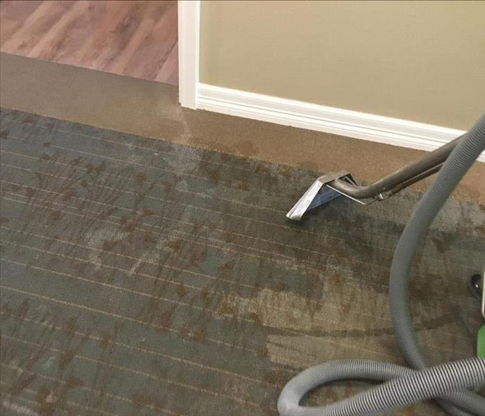 equipment sucking up water on carpeting